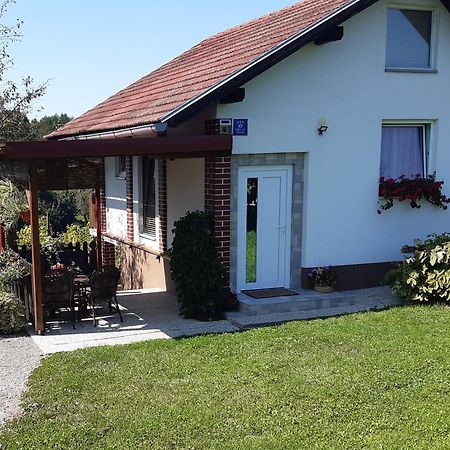 Kuca Za Odmor Vinica Breg Villa Varaždin Exterior foto